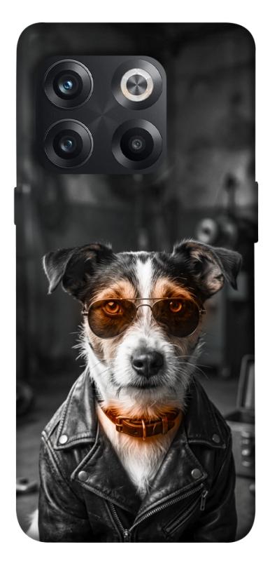 Чохол itsPrint Jack rassel для OnePlus 10T, песики, купити оптом з доставкою