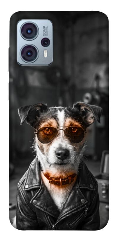 Чохол itsPrint Jack rassel для Motorola Moto G23, песики, купити оптом з доставкою