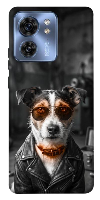 Чохол itsPrint Jack rassel для Motorola Edge 40, песики, купити оптом з доставкою