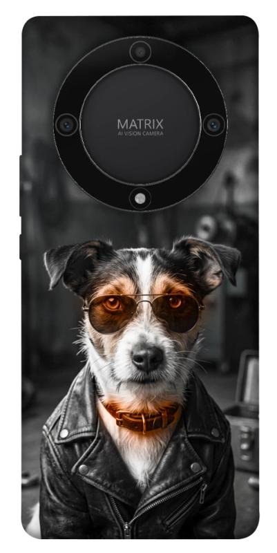 Чохол itsPrint Jack rassel для Huawei Magic5 Lite, песики, купити оптом з доставкою