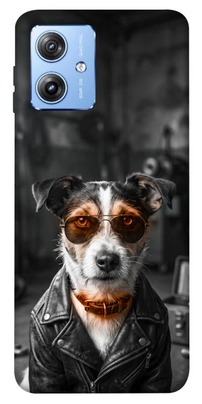 Чехол itsPrint Jack rassel для Motorola Moto G84, песики, купить оптом с доставкой