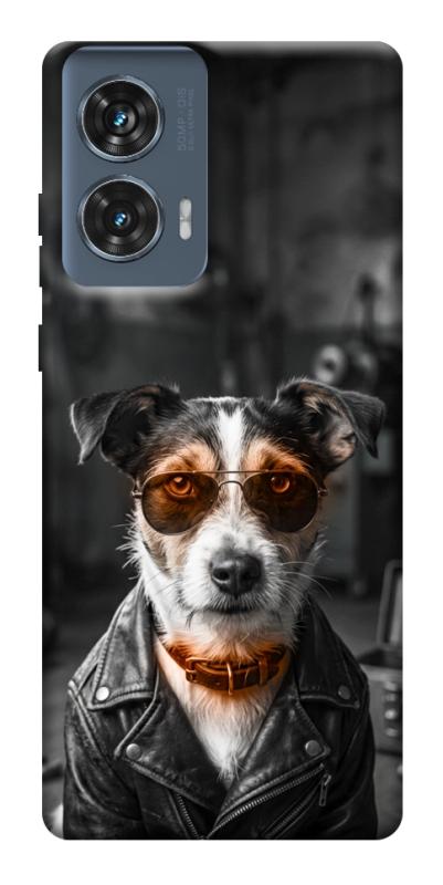 Чехол itsPrint Jack rassel для Motorola Edge 50 Fusion, песики, купить оптом с доставкой