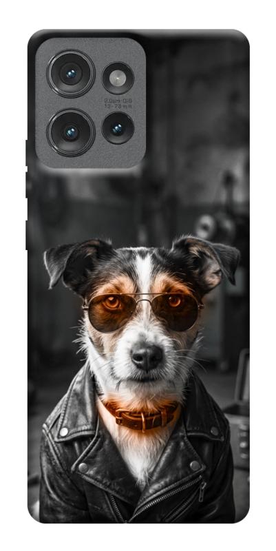 Чехол itsPrint Jack rassel для Motorola Edge 50, песики, купить оптом с доставкой