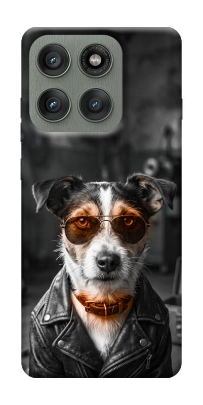 Чехол itsPrint Jack rassel для Motorola Edge 60 Pro, песики, купить оптом с доставкой