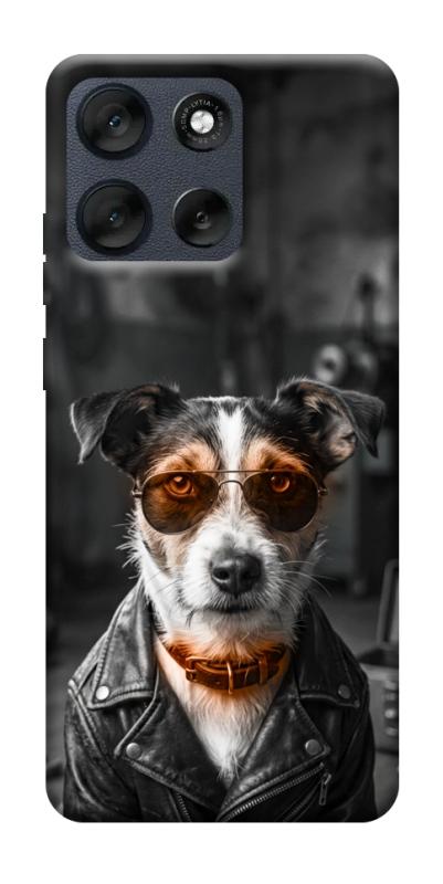 Чехол itsPrint Jack rassel для Motorola Moto G56 5G, песики, купить оптом с доставкой