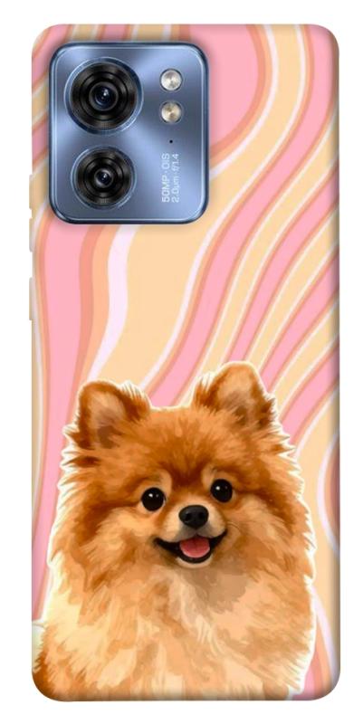 Чохол itsPrint Pastel spitz для Motorola Edge 40, песики, купити оптом з доставкою