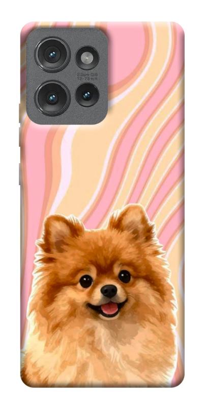 Чехол itsPrint Pastel spitz для Motorola Edge 50, песики, купить оптом с доставкой
