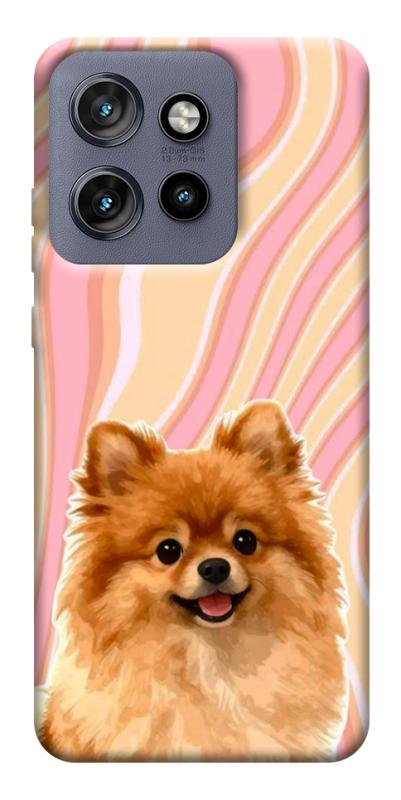 Чохол itsPrint Pastel spitz для Motorola Edge 50 Neo, песики, купити оптом з доставкою