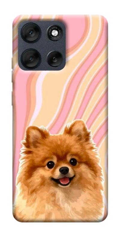 Чехол itsPrint Pastel spitz для Motorola Moto G56 5G, песики, купить оптом с доставкой