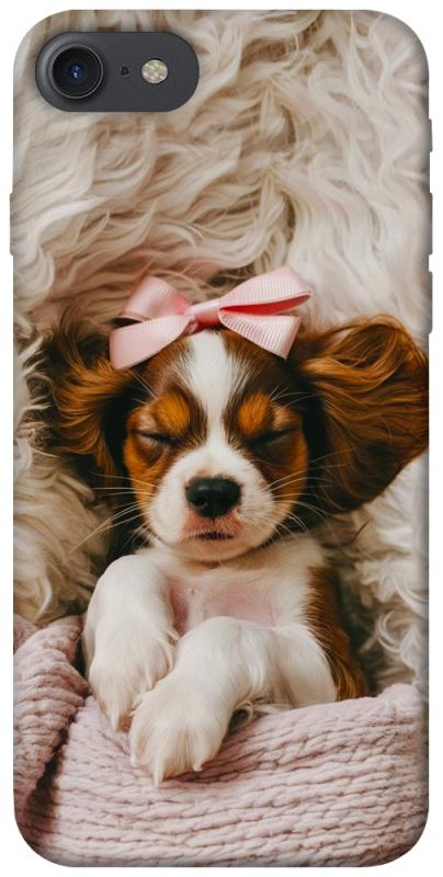 Чохол itsPrint Sleepy spaniel для Apple iPhone 7 / 8 (4.7"), песики, купити оптом з доставкою
