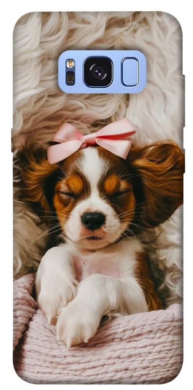 Чохол itsPrint Sleepy spaniel для Samsung G950 Galaxy S8, песики, купити оптом з доставкою