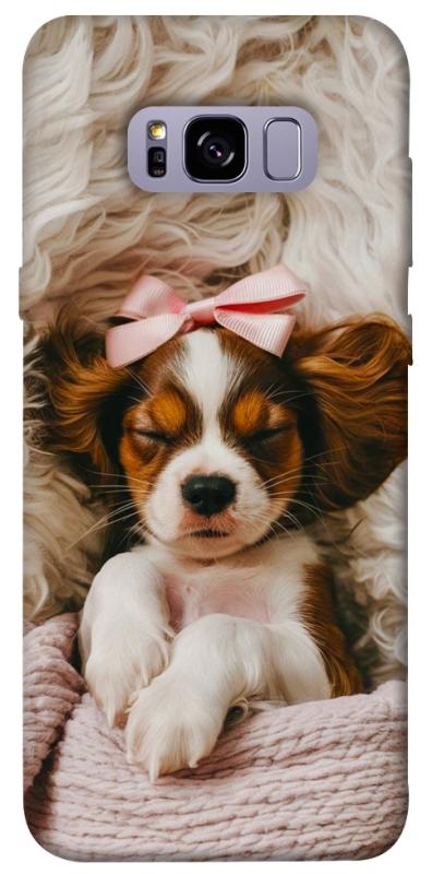 Чохол itsPrint Sleepy spaniel для Samsung G955 Galaxy S8 Plus, песики, купити оптом з доставкою