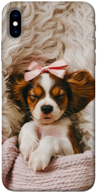 Чохол itsPrint Sleepy spaniel для Apple iPhone X (5.8"), песики, купити оптом з доставкою