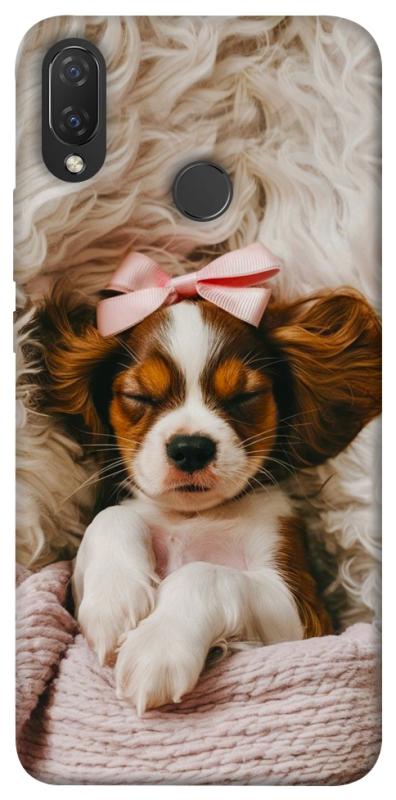 Чехол itsPrint Sleepy spaniel для Huawei P Smart+ (nova 3i), песики, купить оптом с доставкой