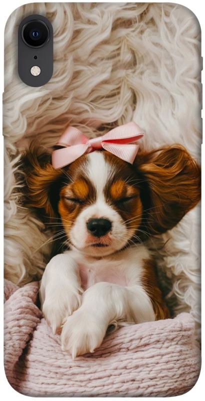 Чехол itsPrint Sleepy spaniel для Apple iPhone XR (6.1"), песики, купить оптом с доставкой