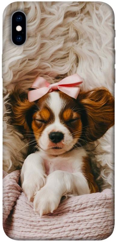Чохол itsPrint Sleepy spaniel для Apple iPhone XS Max (6.5"), песики, купити оптом з доставкою