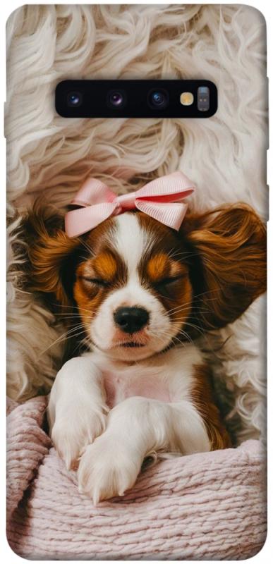 Чохол itsPrint Sleepy spaniel для Samsung Galaxy S10, песики, купити оптом з доставкою