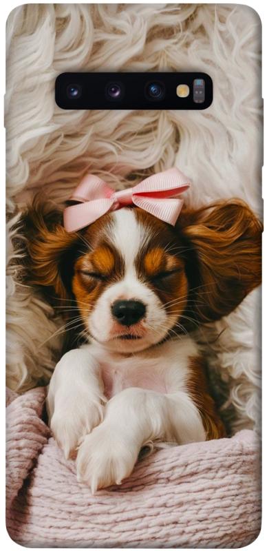 Чохол itsPrint Sleepy spaniel для Samsung Galaxy S10+, песики, купити оптом з доставкою