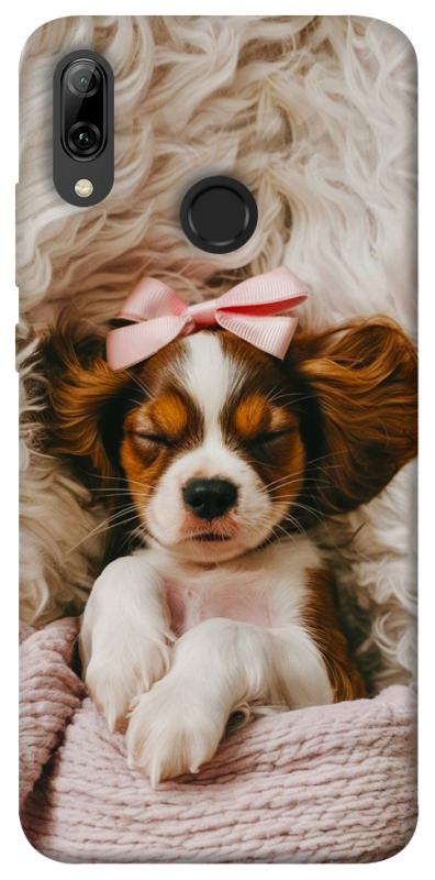 Чохол itsPrint Sleepy spaniel для Huawei P Smart (2019), песики, купити оптом з доставкою