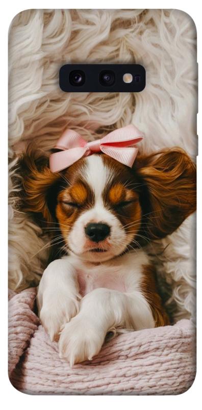 Чохол itsPrint Sleepy spaniel для Samsung Galaxy S10e, песики, купити оптом з доставкою