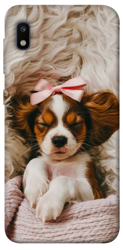 Чохол itsPrint Sleepy spaniel для Samsung Galaxy A10 (A105F), песики, купити оптом з доставкою