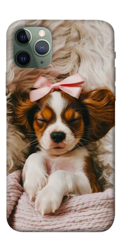 Чохол itsPrint Sleepy spaniel для Apple iPhone 11 Pro (5.8"), песики, купити оптом з доставкою