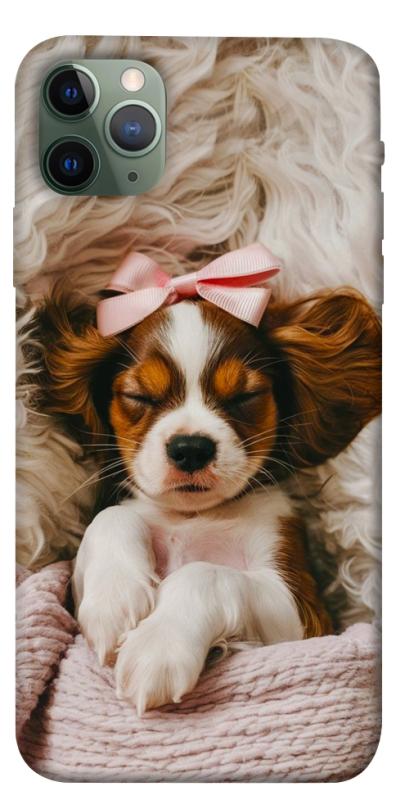 Чохол itsPrint Sleepy spaniel для Apple iPhone 11 Pro Max (6.5"), песики, купити оптом з доставкою