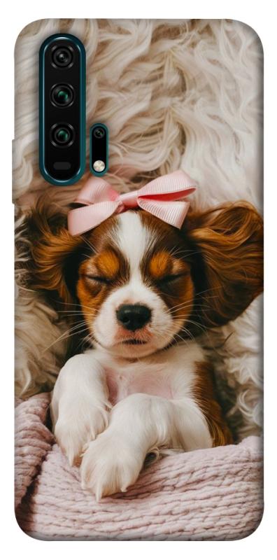 Чохол itsPrint Sleepy spaniel для Huawei Honor 20 Pro, песики, купити оптом з доставкою