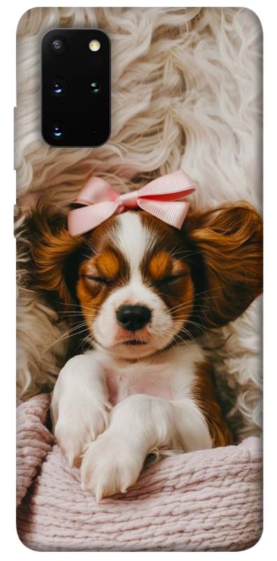 Чохол itsPrint Sleepy spaniel для Samsung Galaxy S20+, песики, купити оптом з доставкою
