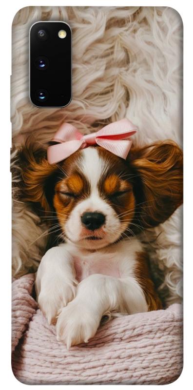 Чохол itsPrint Sleepy spaniel для Samsung Galaxy S20, песики, купити оптом з доставкою