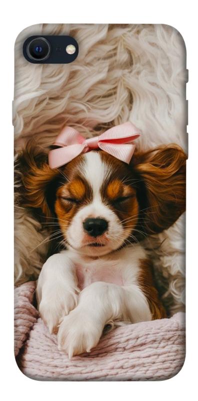 Чохол itsPrint Sleepy spaniel для Apple iPhone SE (2020), песики, купити оптом з доставкою