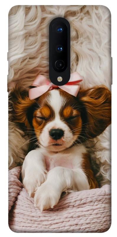 Чехол itsPrint Sleepy spaniel для OnePlus 8, песики, купить оптом с доставкой