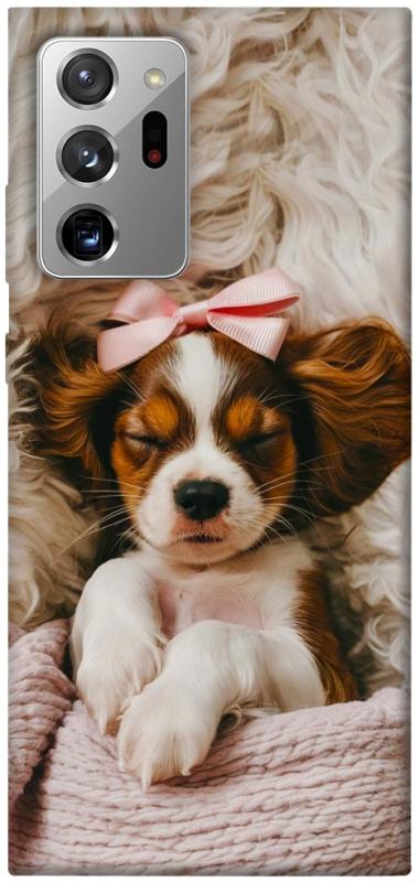 Чехол itsPrint Sleepy spaniel для Samsung Galaxy Note 20 Ultra, песики, купить оптом с доставкой