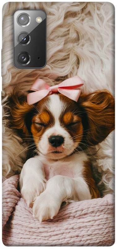 Чехол itsPrint Sleepy spaniel для Samsung Galaxy Note 20, песики, купить оптом с доставкой
