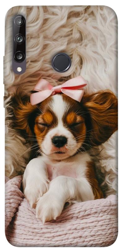 Чохол itsPrint Sleepy spaniel для Huawei P40 Lite E / Y7p (2020), песики, купити оптом з доставкою