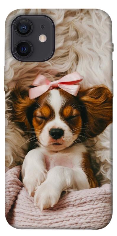 Чехол itsPrint Sleepy spaniel для Apple iPhone 12 Pro (6.1"), песики, купить оптом с доставкой