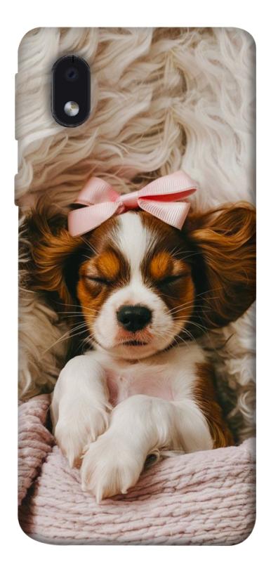 Чохол itsPrint Sleepy spaniel для Samsung Galaxy M01 Core / A01 Core, песики, купити оптом з доставкою