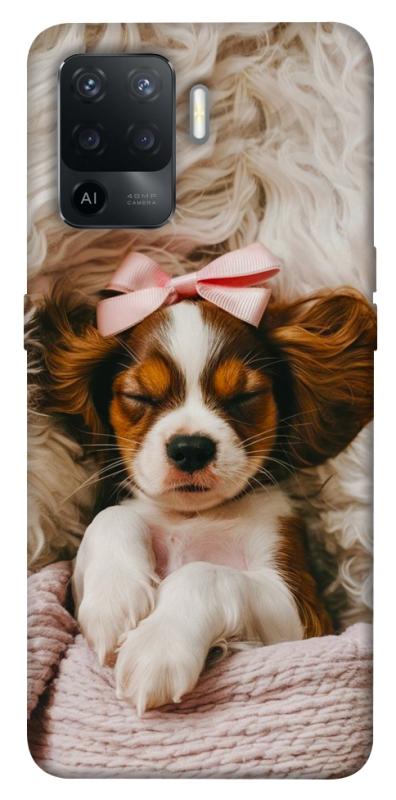 Чохол itsPrint Sleepy spaniel для Oppo Reno 5 Lite, песики, купити оптом з доставкою