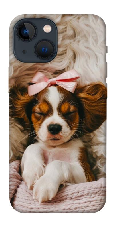 Чохол itsPrint Sleepy spaniel для Apple iPhone 13 mini (5.4"), песики, купити оптом з доставкою
