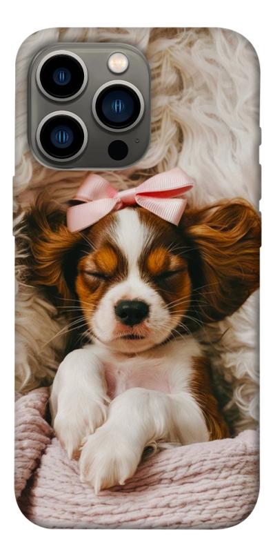 Чехол itsPrint Sleepy spaniel для Apple iPhone 13 Pro (6.1"), песики, купить оптом с доставкой