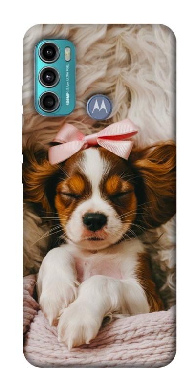 Чохол itsPrint Sleepy spaniel для Motorola Moto G60, песики, купити оптом з доставкою