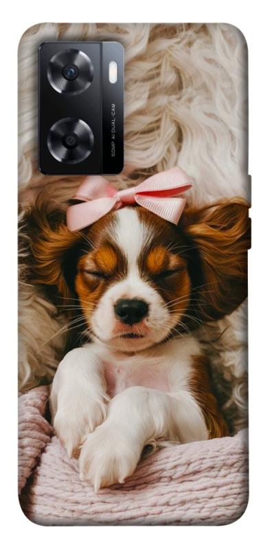 Чохол itsPrint Sleepy spaniel для OnePlus Nord N20 SE, песики, купити оптом з доставкою