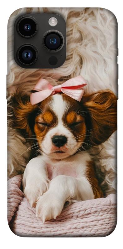 Чохол itsPrint Sleepy spaniel для Apple iPhone 14 Pro Max (6.7"), песики, купити оптом з доставкою