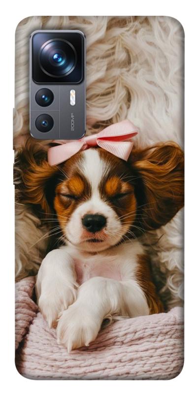 Чохол itsPrint Sleepy spaniel для Xiaomi 12T / 12T Pro, песики, купити оптом з доставкою