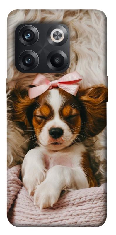 Чохол itsPrint Sleepy spaniel для OnePlus 10T, песики, купити оптом з доставкою