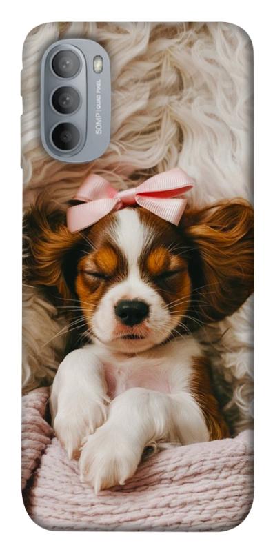 Чехол itsPrint Sleepy spaniel для Motorola Moto G31, песики, купить оптом с доставкой