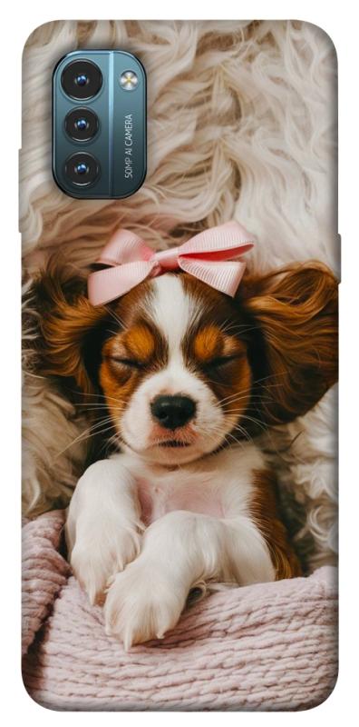 Чохол itsPrint Sleepy spaniel для Nokia G21, песики, купити оптом з доставкою