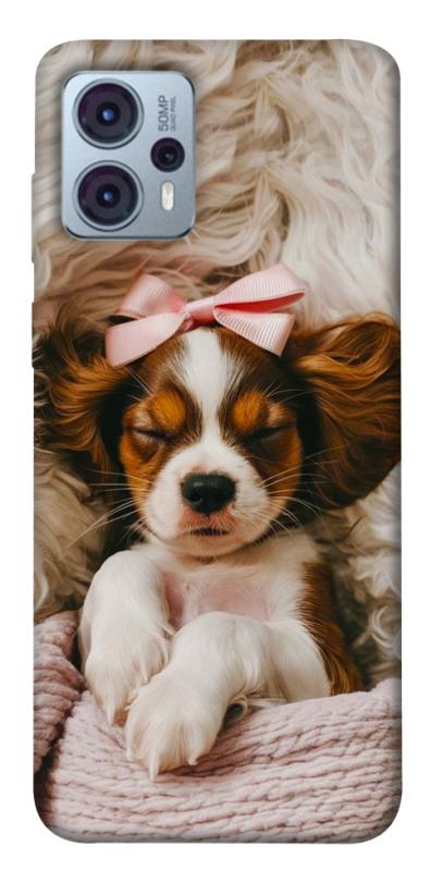 Чехол itsPrint Sleepy spaniel для Motorola Moto G23, песики, купить оптом с доставкой