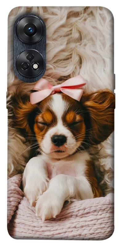 Чохол itsPrint Sleepy spaniel для Oppo Reno 8 T 4G, песики, купити оптом з доставкою
