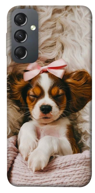 Чохол itsPrint Sleepy spaniel для Samsung Galaxy A24 4G, песики, купити оптом з доставкою
